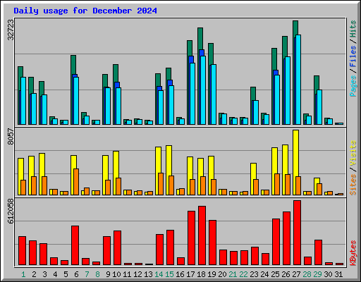Daily usage for December 2024