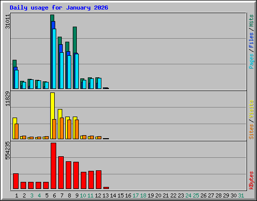 Daily usage for January 2026