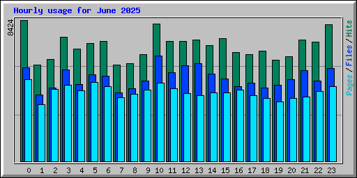 Hourly usage for June 2025