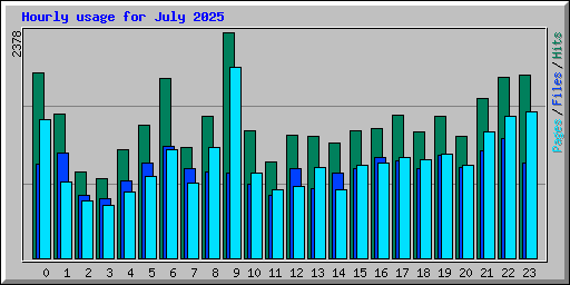 Hourly usage for July 2025