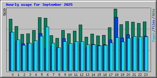 Hourly usage for September 2025