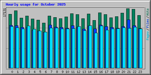 Hourly usage for October 2025