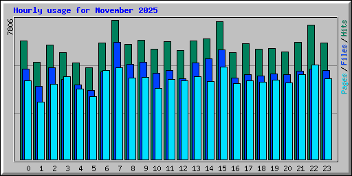 Hourly usage for November 2025