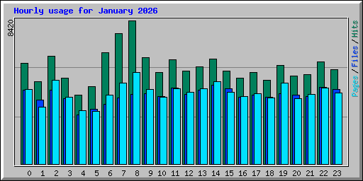 Hourly usage for January 2026