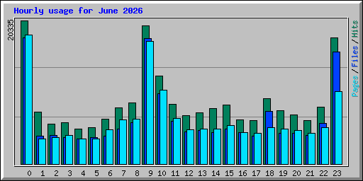 Hourly usage for June 2026